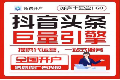 企业SEM服务实战案例解析
